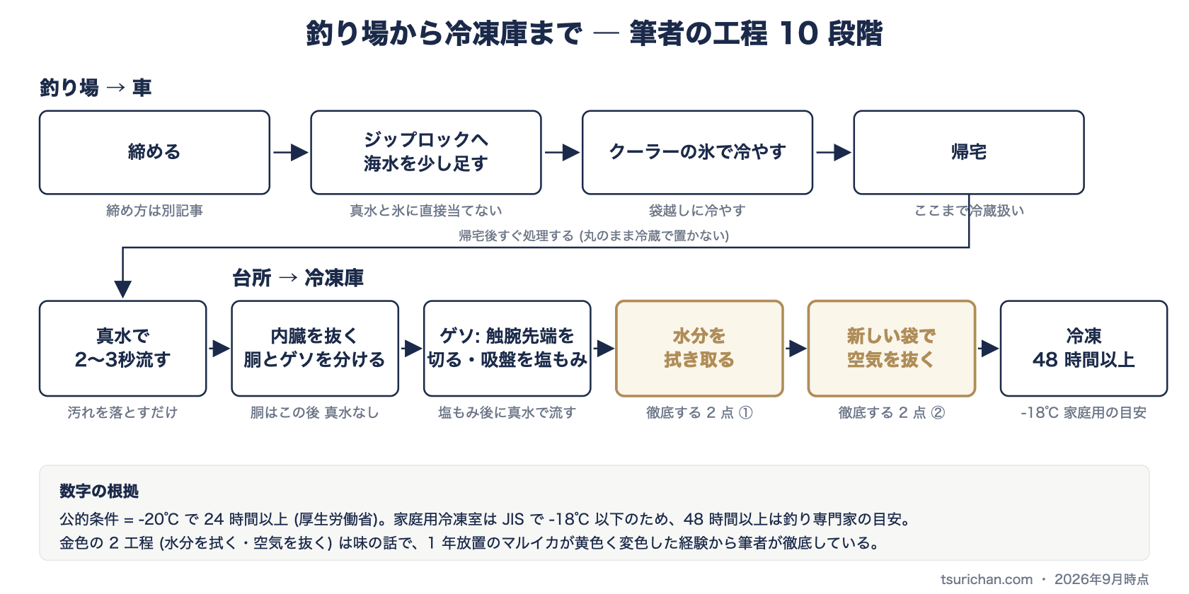 釣り場から冷凍庫までの工程を10段階で示した図。締める・袋に海水・クーラーの氷・帰宅の4段階と、真水で流す・内臓を抜く・ゲソの塩もみ・水分を拭く・新しい袋で空気を抜く・冷凍48時間以上の6段階