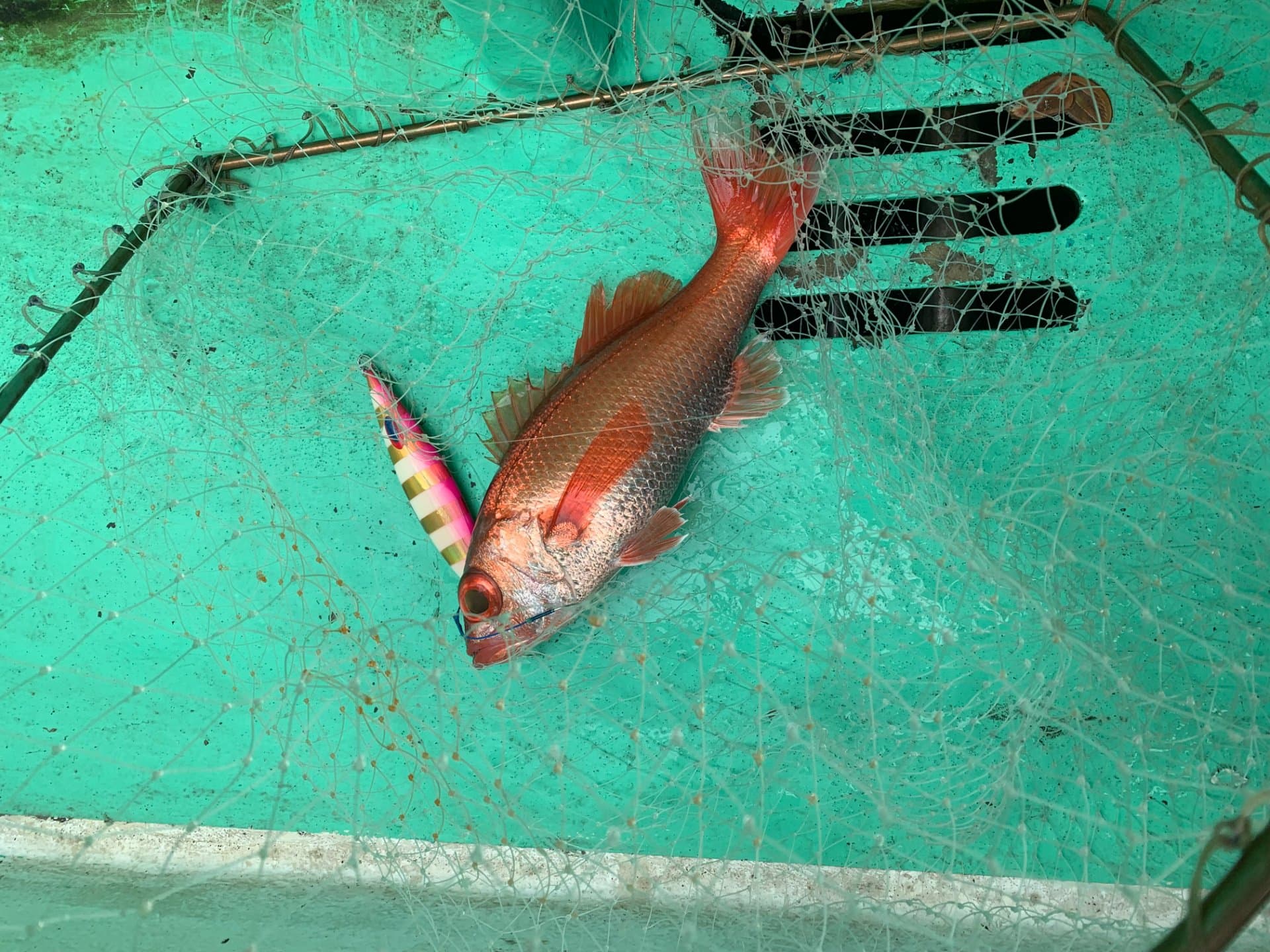 相模湾アカムツジギング|タックルと時期、6回4匹の実釣