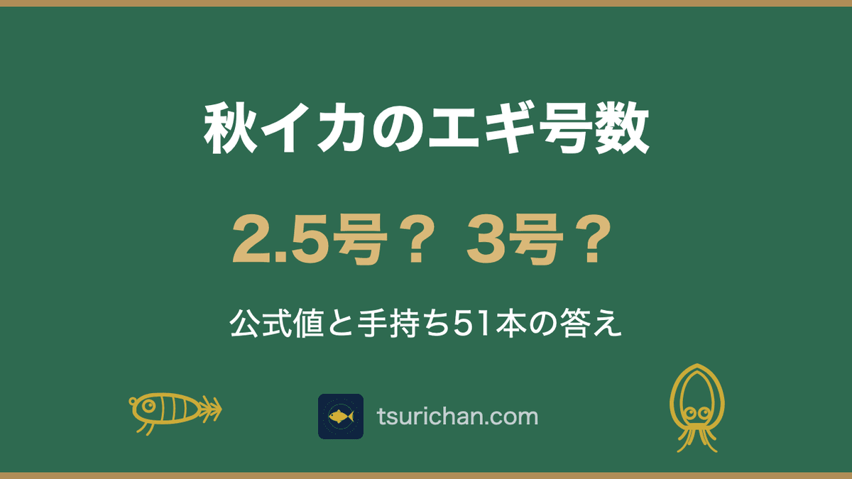 秋イカのエギは2.5号と3号どっち?公式値と手持ち51本の答え