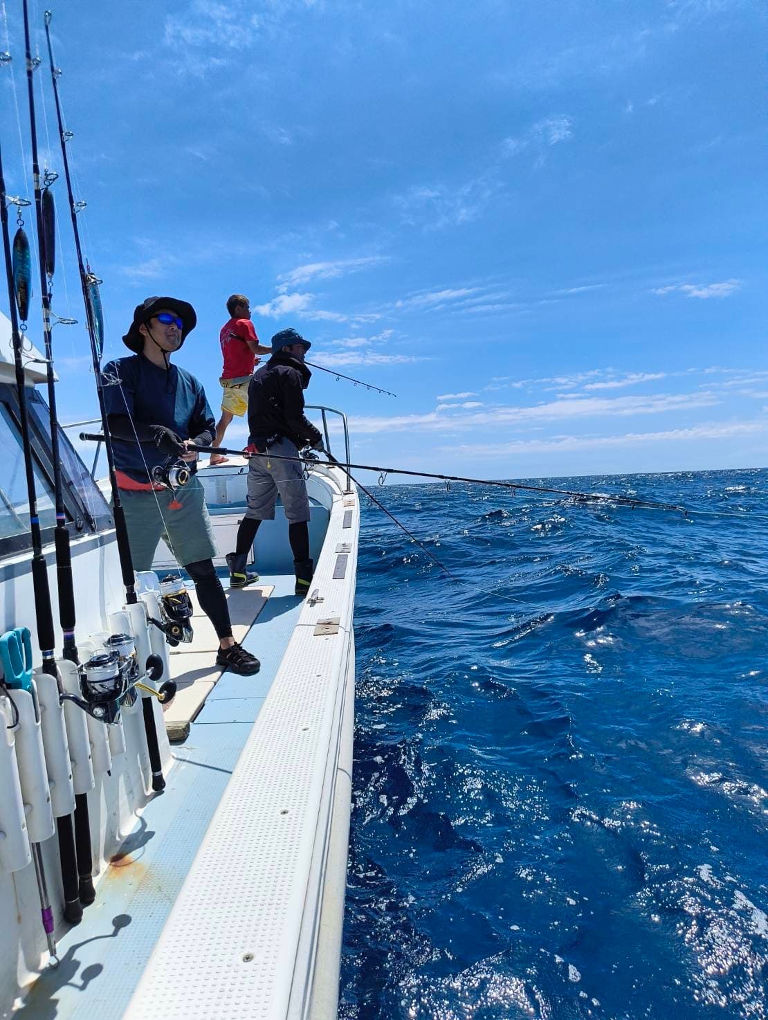 酒田クロマグロリベンジ|禁漁は免れたが、マグロを見つけきれず