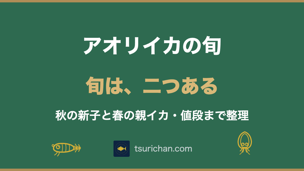 アオリイカの旬はいつ?秋と春の二つの旬と値段が高い理由