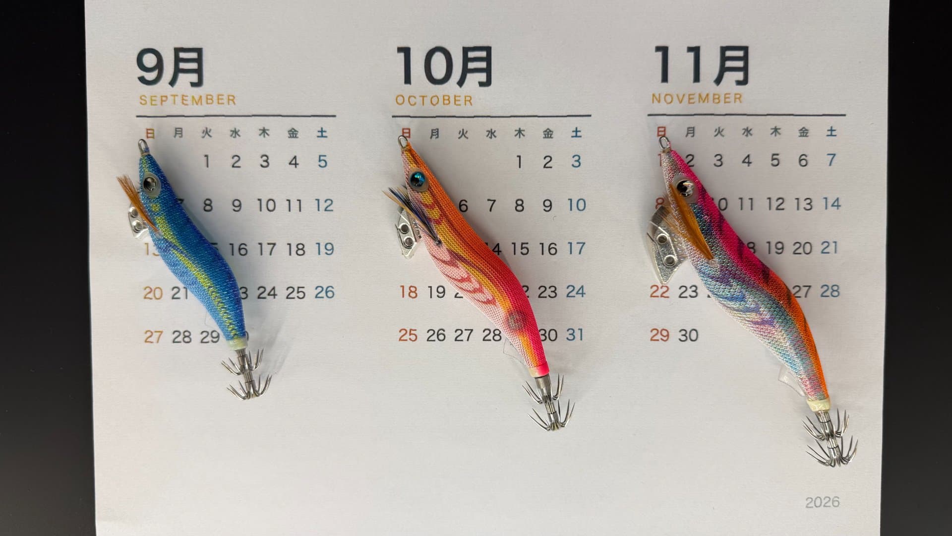 秋イカの時期はいつからいつまで?月別の釣れ方と時間帯を解説