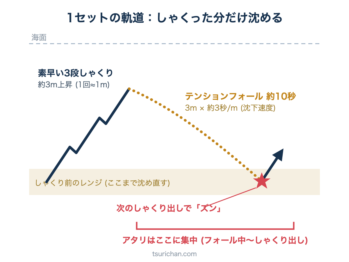 エギングしゃくり1 セットの軌道