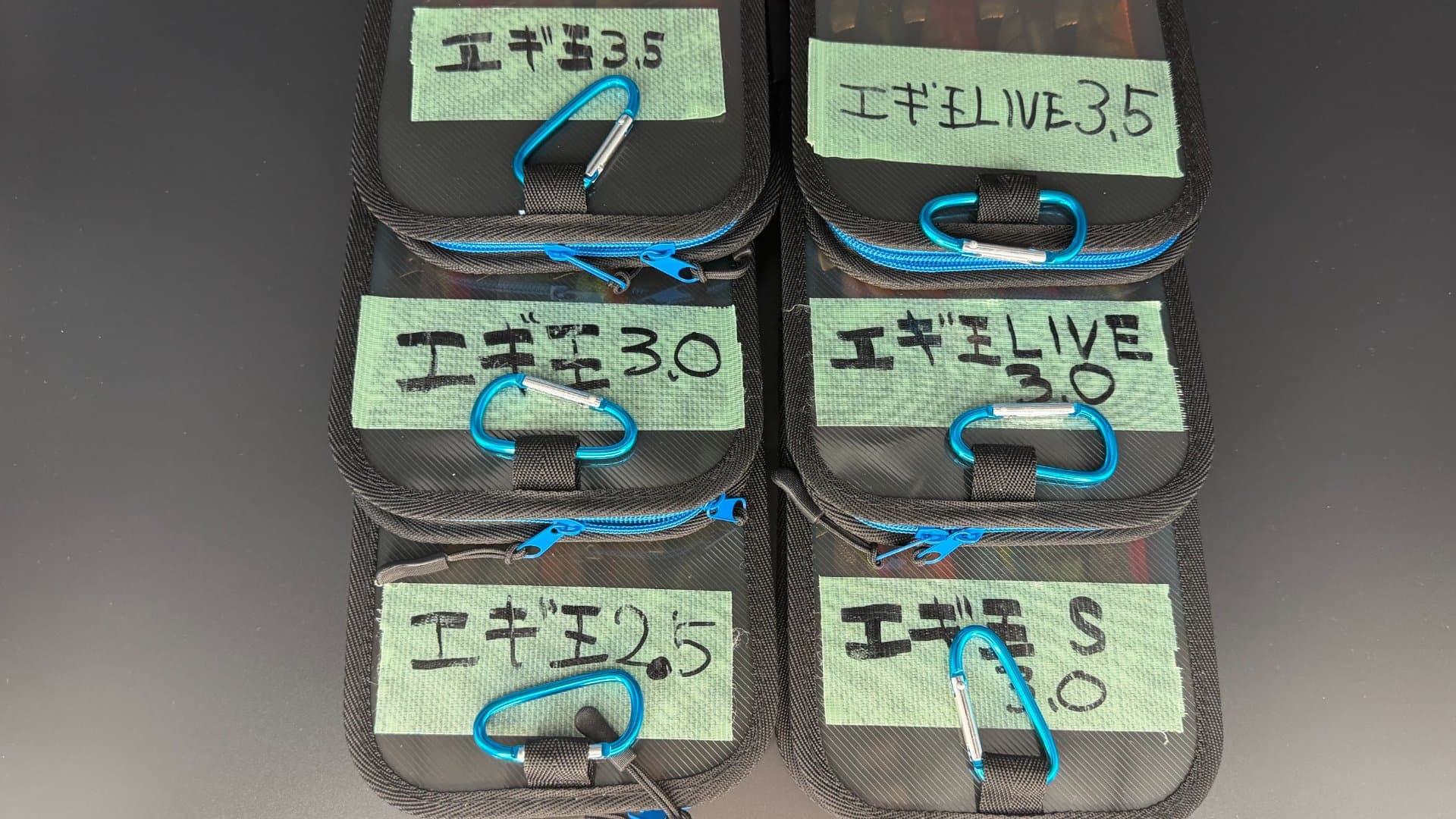 エギケースを種類、サイズごとに入れたもの