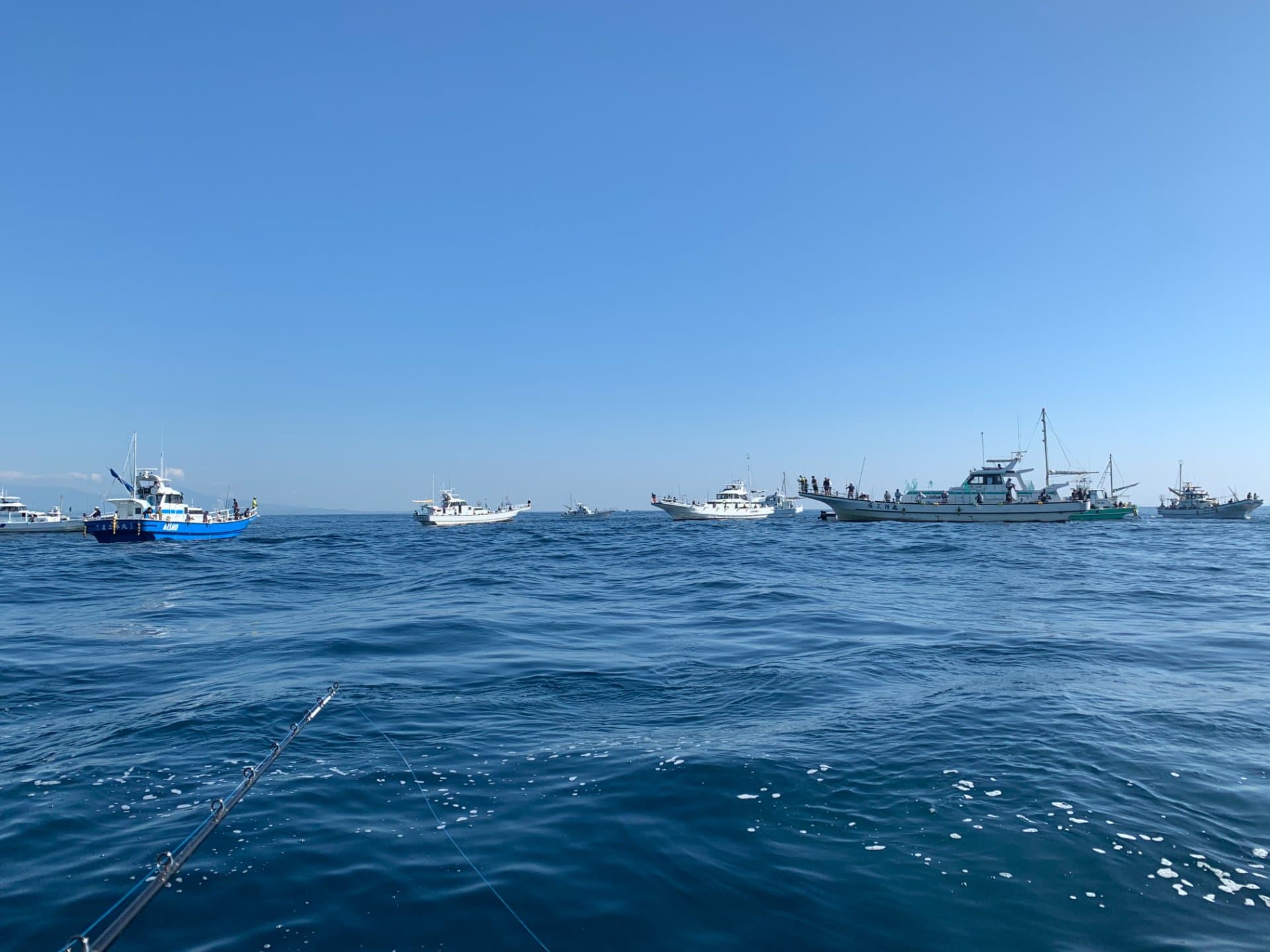 相模湾での釣り